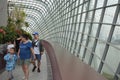 Walkway in Cloud Forest Dome,, Singarpore. Royalty Free Stock Photo