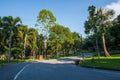 Walkway and coconut trees in the garden Royalty Free Stock Photo