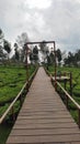 Walkway construction over tea plantation