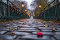 A walkway covered in a colorful carpet of fallen leaves during the autumn season, An old cobblestone bridge with love padlocks, AI Royalty Free Stock Photo