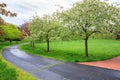 Walkway Crab Apple Trees Virginia Meadowlark Park