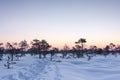 Walkway in deep snow in a marsh at winter