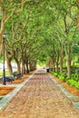 Walkway in downtown Charleston, South Carolina
