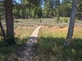 Walkway on the Emigrant Trail