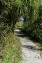 Pathway on the farm Royalty Free Stock Photo