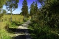 Pathway on the farm Royalty Free Stock Photo