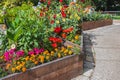 Walkway in flower garden in summer. Colourful Flowerbeds in a good care maintenance landscapes and asfalt concrete path Royalty Free Stock Photo