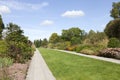 Walkway between flowers and trees in a summer garden