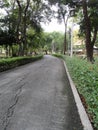 Walkway in the garden in the afternoon. Royalty Free Stock Photo