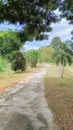 Walkway in the garden The floor is paved with cement, beautiful, shady, refreshing, suitable for walking and relaxing