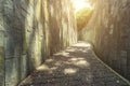 Walkway in garden in the morning with sunlight. Empty path for background Royalty Free Stock Photo