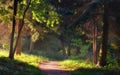 Walkway In The Garden Royalty Free Stock Photo