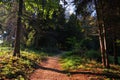 Walkway In The Garden Royalty Free Stock Photo