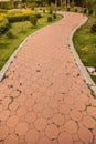 Walkway in garden