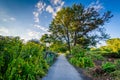 Walkway and gardens at Back Bay Fens, in Boston, Massachusetts.