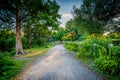 Walkway and gardens at Back Bay Fens, in Boston, Massachusetts. Royalty Free Stock Photo