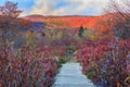 Walkway Graveyard Fields Western North Carolina Autumn