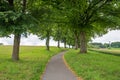 Walkway through green alley to lookout tower Aussichtsturm Ebersberg Royalty Free Stock Photo