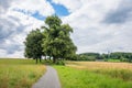 Walkway through green alley to lookout tower Aussichtsturm Ebersberg Royalty Free Stock Photo