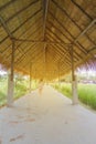 Walkway with hay roof, Folk roofing products from grass in Thailand