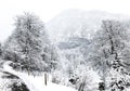 Walkway hiking epic mountain outdoor adventure to the old salt mine of Hallstatt pass the pine forest and Winter snow mountain