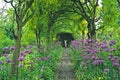 Laburnum arches underplanted with Alliums Royalty Free Stock Photo