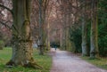 Walkway Lane Path With Green Trees in Forest. Beautiful Alley, road In Park. Pathway, natural tunnel Royalty Free Stock Photo