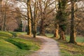 Walkway Lane Path With Green Trees in Forest. Beautiful Alley, road In Park. Royalty Free Stock Photo