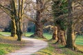 Walkway Lane Path With Green Trees in Forest. Beautiful Alley, road In Park. Pathway, natural tunnel Royalty Free Stock Photo