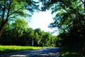 Walkway Lane Path With Green Trees in Forest. Beautiful Alley, road In Park Through Summer Forest. Royalty Free Stock Photo