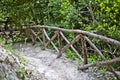 Walkway lane path with handrail in green trees in summer forest Royalty Free Stock Photo