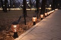 a walkway lined with lighted lanterns in a park