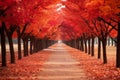 a walkway lined with red trees in an autumn park
