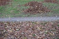 Walkway lined with tiles and fallen leaves collected in heaps, autumn, minimalism, background
