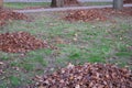 Walkway lined with tiles and heaps of fallen leaves, park, autumn, minimalism, background