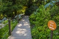 Walkway at the Lost Gardens of Heligan in Cornwall, UK Royalty Free Stock Photo