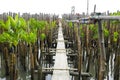 The walkway is made of concrete slabs. Royalty Free Stock Photo