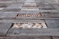 Pathway made of wood planks and stone pebbles.