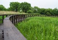 Swamp of Han river Royalty Free Stock Photo