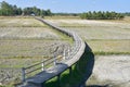 Walkway near to the Rice