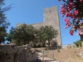 Aldobrandeschi Castle in Talamone