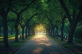 A walkway in a park is bordered by trees and features benches for visitors to rest on, A tree-lined walkway nestled under a dusky Royalty Free Stock Photo
