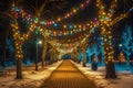 A walkway in a park is illuminated with festive Christmas lights, creating a vibrant and joyful atmosphere, Tree alley illuminated Royalty Free Stock Photo