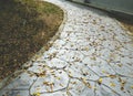 Walkway in the park and leaf