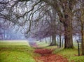 Autumn walk in the park Royalty Free Stock Photo