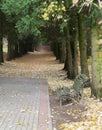 Walkway in the park in the summer