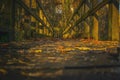 Walkway path through the forest in autumn landscape fall Royalty Free Stock Photo