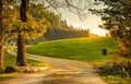 A walkway or path near the pasture on sunrise or sunset background