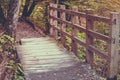 Walkway path on Nyoho Mt. with Japanese Maple leaf Royalty Free Stock Photo