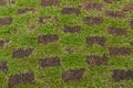 Walkway pattern chessboard of brick and grass.